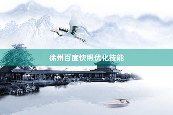 徐州百度快照优化技能