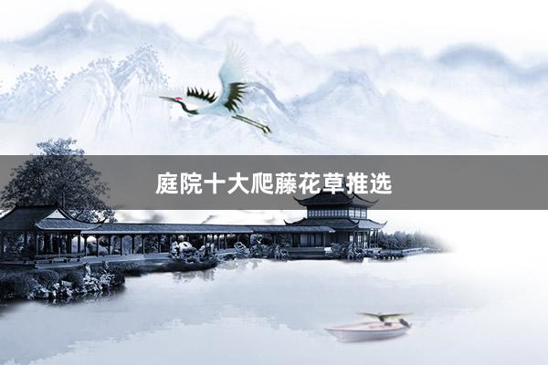 庭院十大爬藤花草推选
