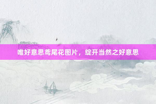 唯好意思鸢尾花图片，绽开当然之好意思