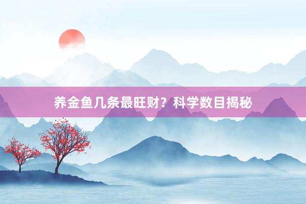 养金鱼几条最旺财？科学数目揭秘