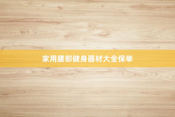 家用腰部健身器材大全保举